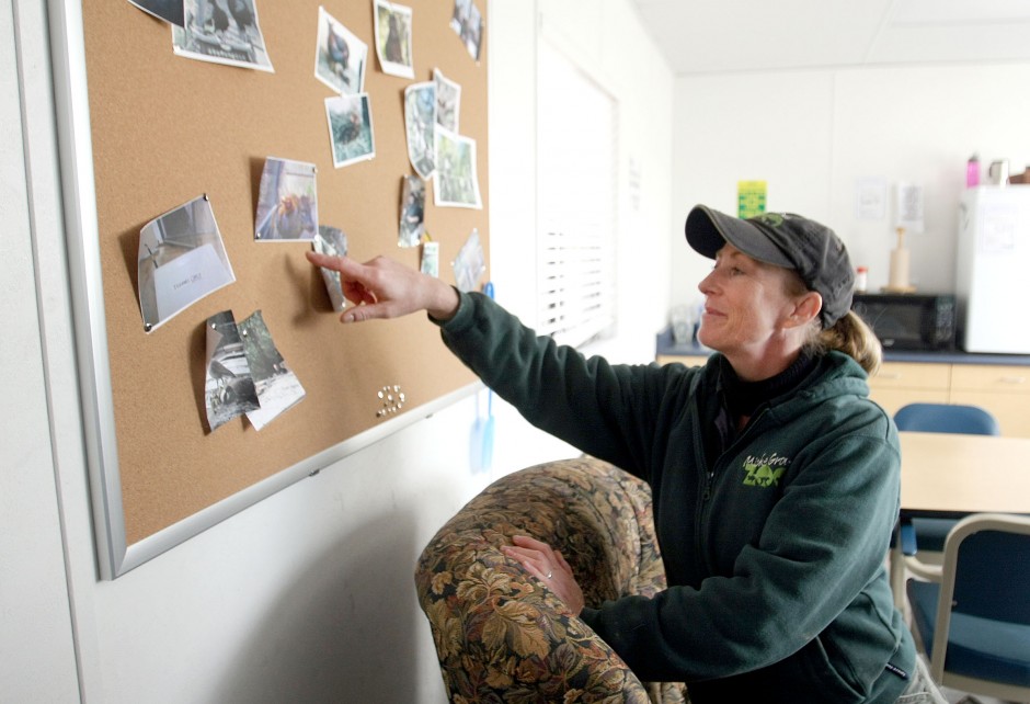 News-Sentinel reporters play zookeepers for a day 