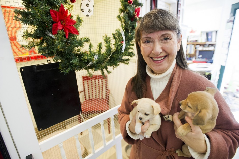 PALS co-founder Nancy Alumbaugh shares pet adoption tips