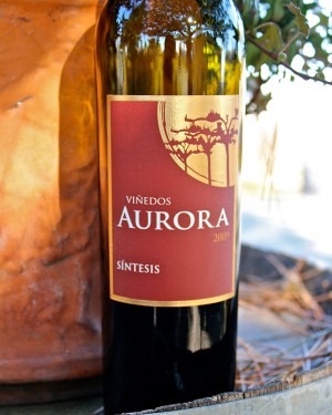 Lodi’s Viñedos Aurora’s mellow style follows a Spanish influence