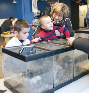 Getting bugged at Lodi’s World of Wonders Science Museum