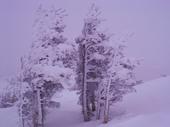 roundtop mountain