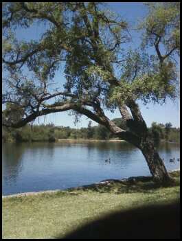 Lodi Lake
