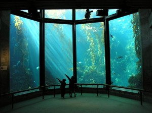 Rich’s place: Monterey