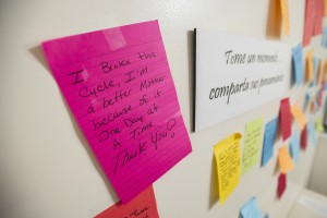The Lisa Project brings tears — and healing