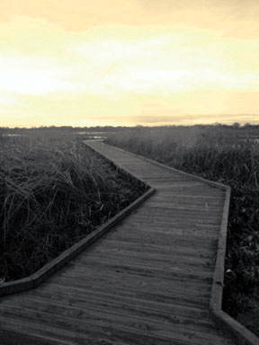 Staycationing: Summer fun on the Delta