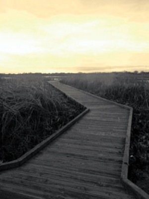 Staycationing: Summer fun on the Delta