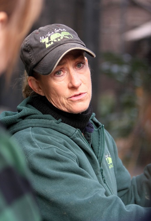 News-Sentinel reporters play zookeepers for a day 