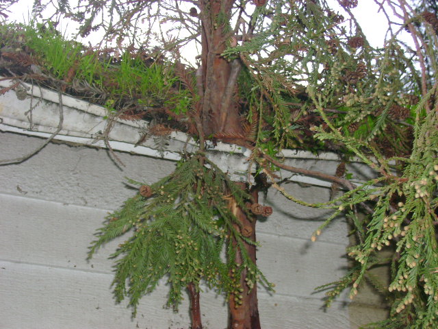 dsc00120.jpg