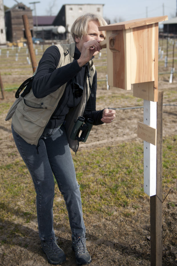 Local birders explore the Mokelumne River floodplain