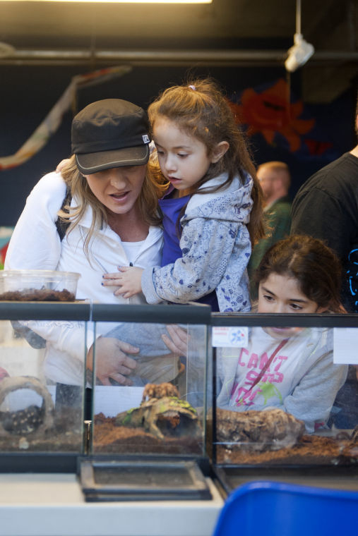 Furry spiders, hissing beetles take over the World of Wonders Science Museum