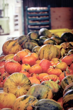 The best of apple country
