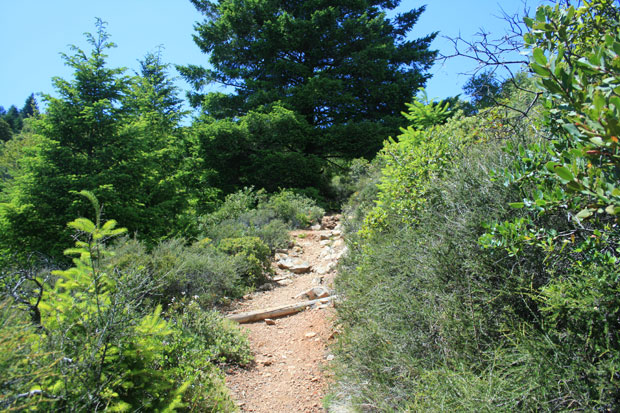 Hike Mount Tamalpais for spectacular views of San Francisco