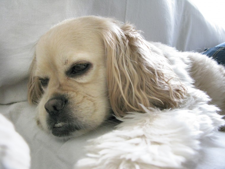 Bentley