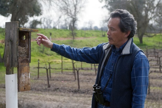 Local birders explore the Mokelumne River floodplain