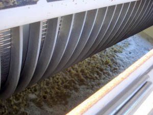 Fresh 2010 Gewürz juice