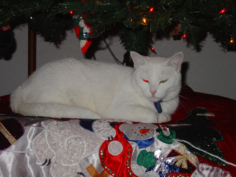 Betsy Under the Tree
