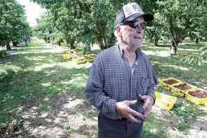 State conducts farm worker safety inspections throughout San Joaquin County 