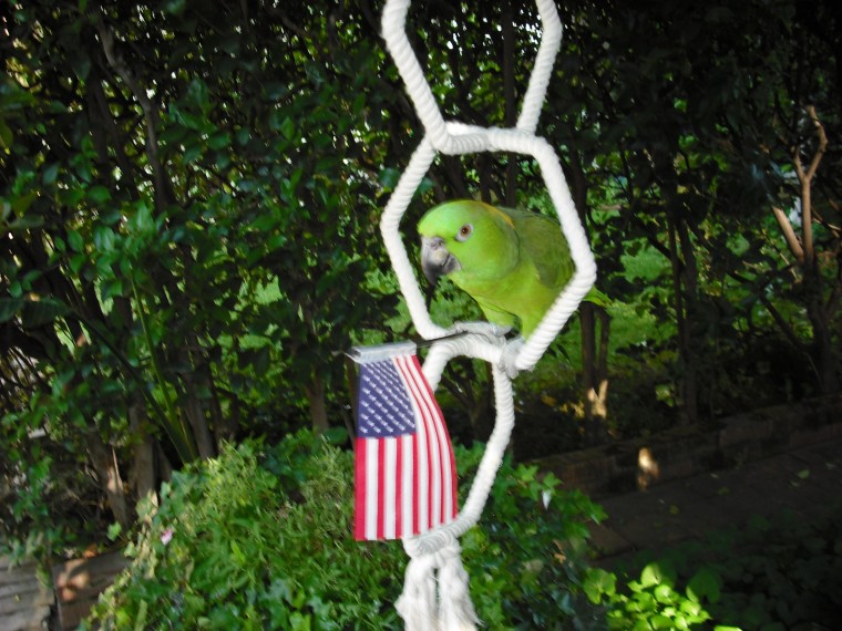 dscf0215.jpg