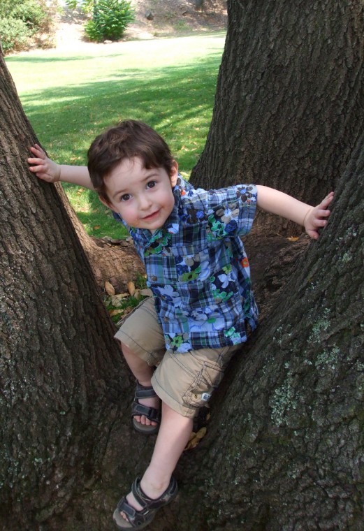 Grandson Up a Tree
