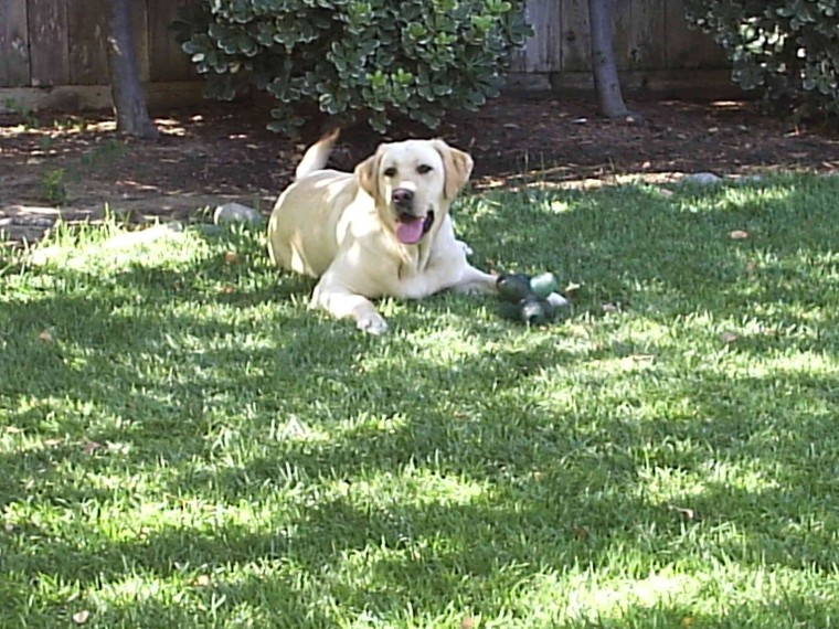 Chloe with her toy