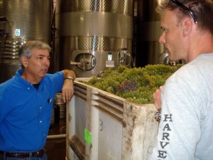 Discussing Borra Viognier winemaking