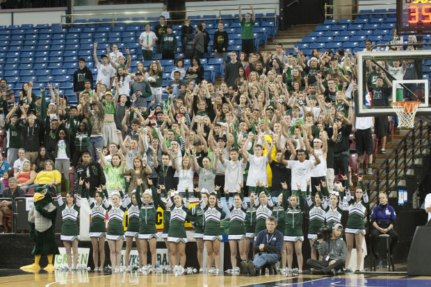 Boys basketball: Hawks’ dream run ends one win short of title