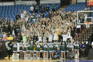 Boys basketball: Hawks’ dream run ends one win short of title