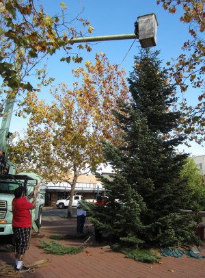 Downtown Lodi looking a lot like Christmas