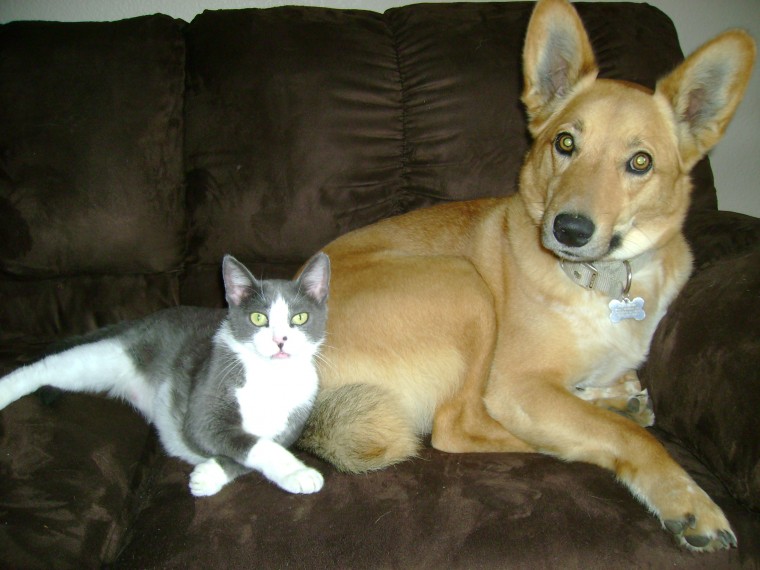 caught cuddling on the couch