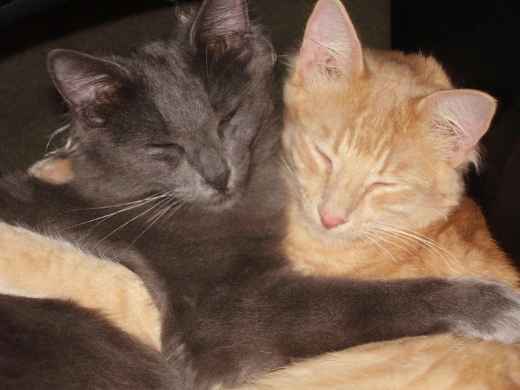 Stormy and Whiteso