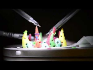 Lodi Health’s robotic system allows for shorter, more precise surgeries