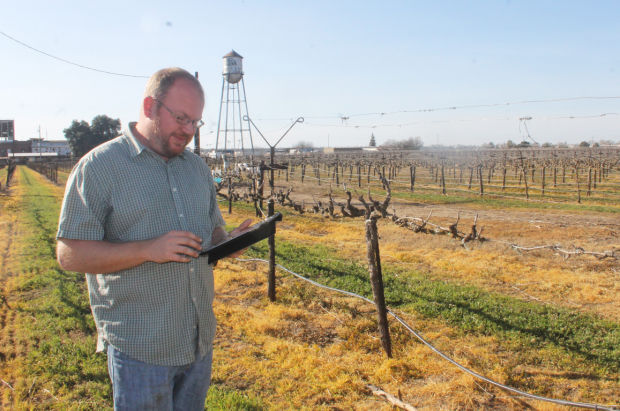 Lodi growers go digital