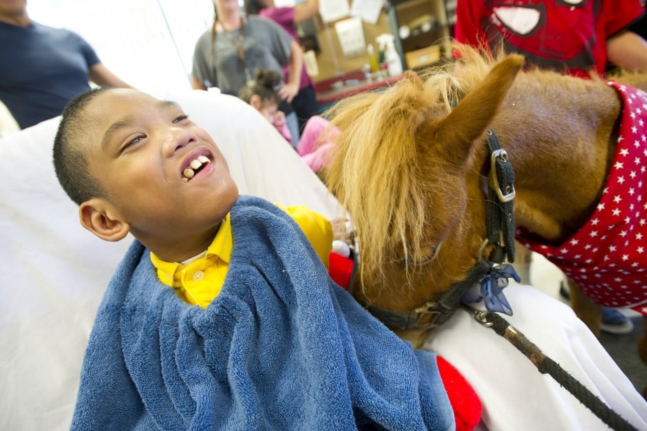 Mini horses bring big smiles to local kids