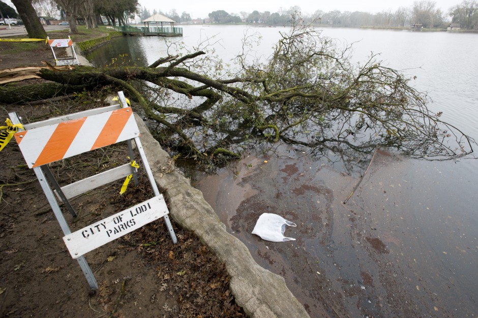 High winds, fallen trees temporarily close Lodi Lake