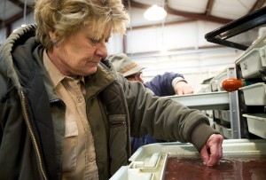 Experts and anglers pleased with higher Chinook numbers for Mokelumne River run