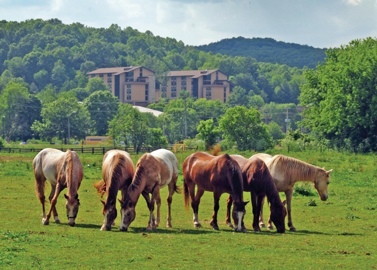 Hocking College, Foundation own over 2,300 acres, estimated at more