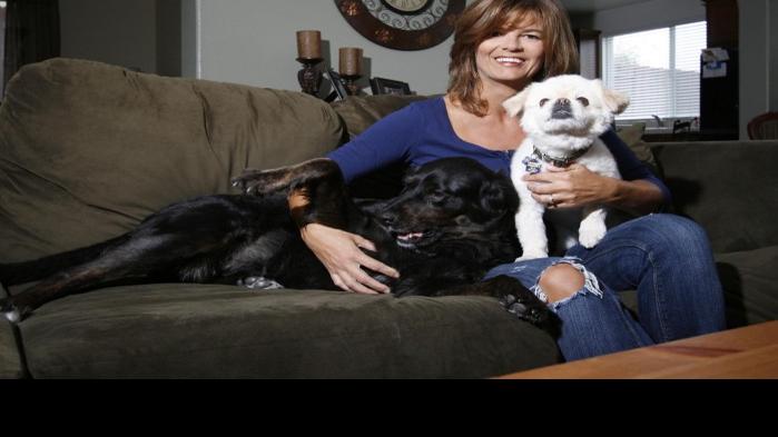 Lost Dog Found After Two Years Local News Lompocrecord Com