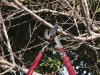 Pruning: The kindest cuts