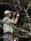 Pruning: The kindest cuts