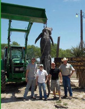 alligator gator choke canyon giant lufkindailynews record