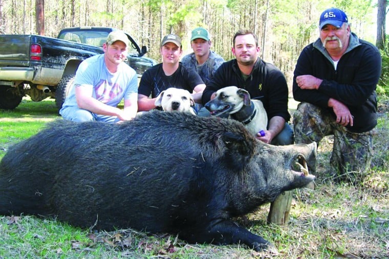 Hog hunting contest texas
