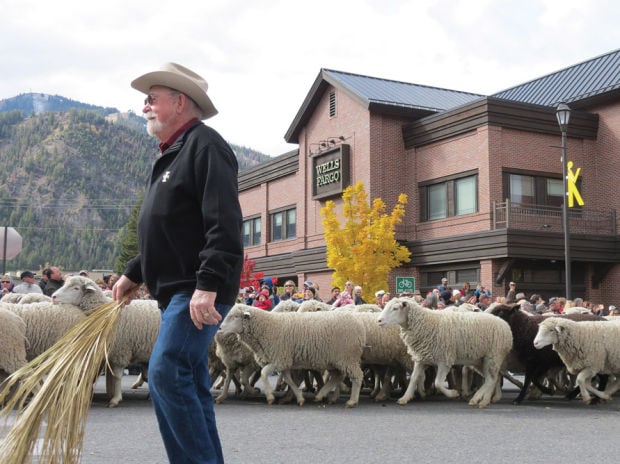 Trailing of Sheep Ketchum parade