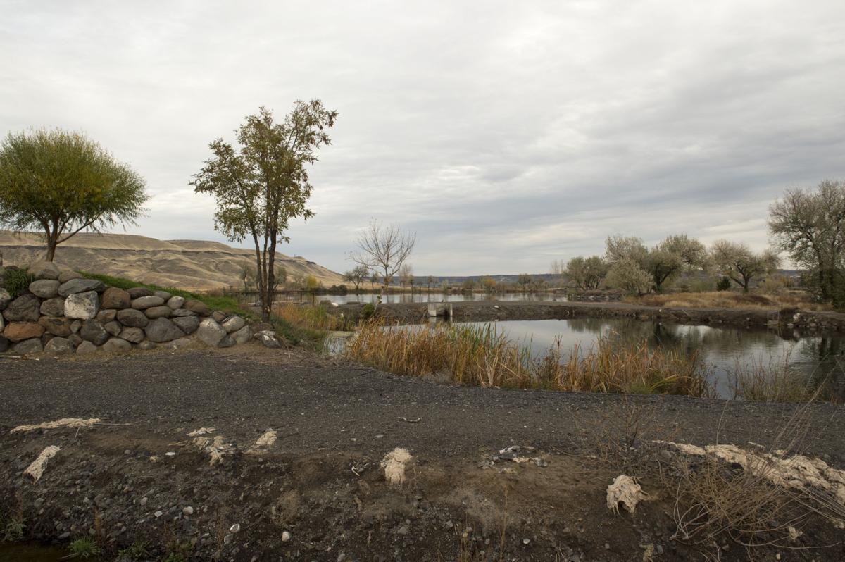 Hagerman shooting school hopes to expand Southern Idaho Local News