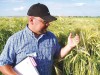 Crop Outlook: Barley, Beans Show Gains  