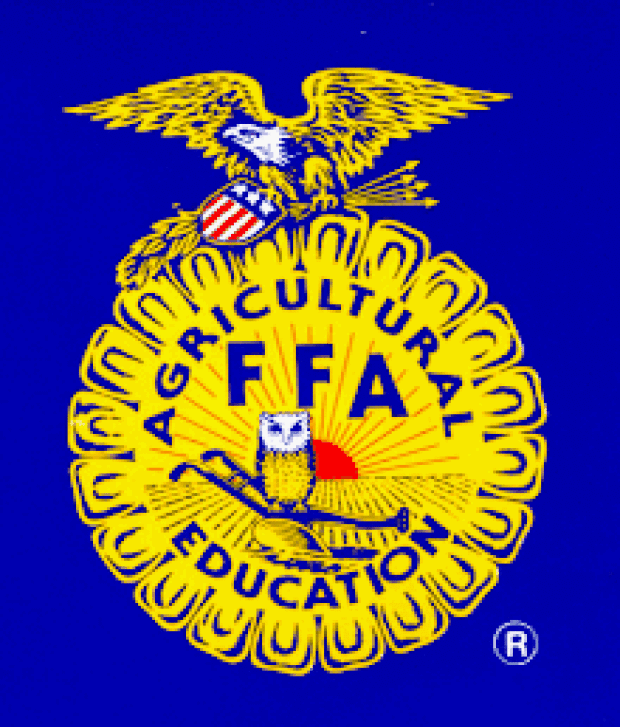 BLOG: 12 Fun Facts about FFA : On Assignment | Behind the Scenes Reporting