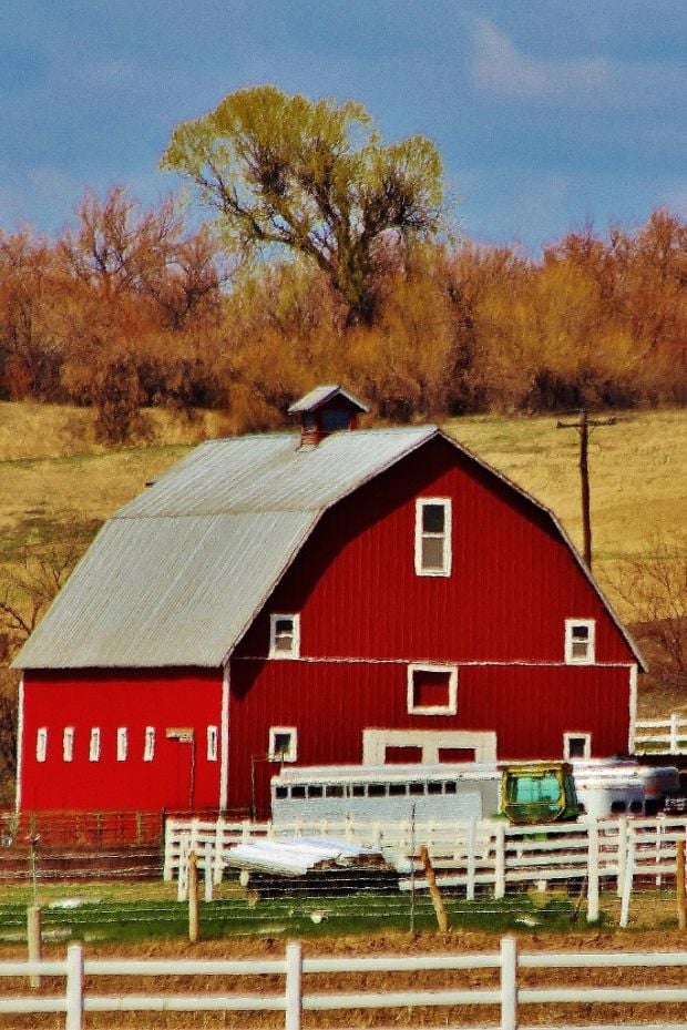 Gallery: Barns Of Southern Idaho