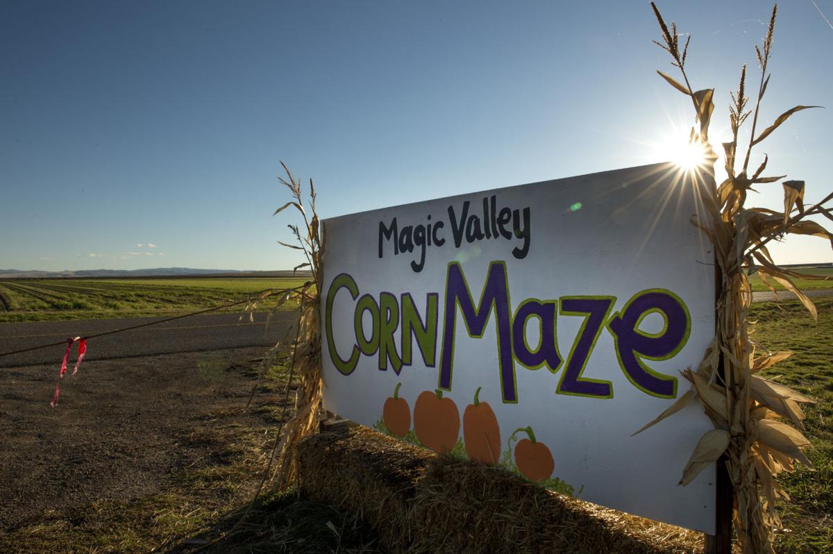 Gallery Magic Valley Corn Maze Southern Idaho Entertainment