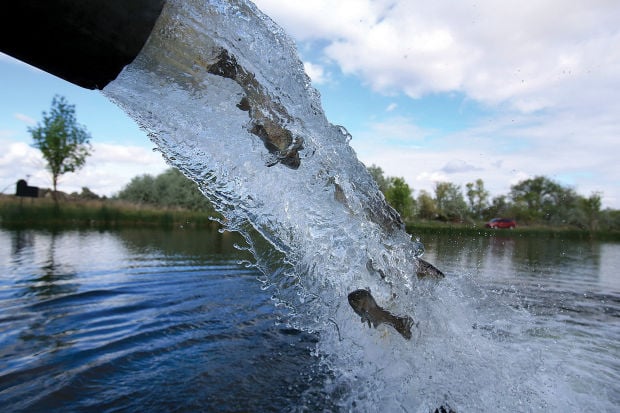 schedule for stocking fish at desert breeze park