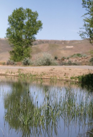 Gallery: Easement