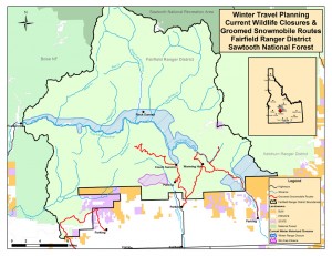 Forest Service considers opening elk closure; studying new migration  